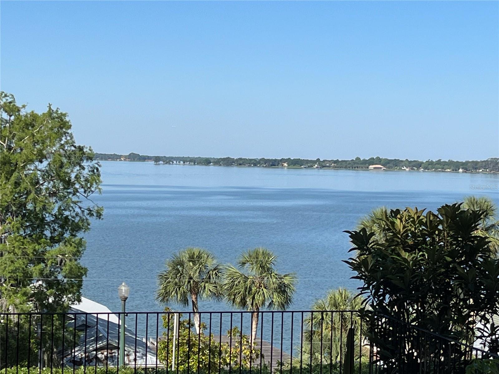Daytime view from back porch