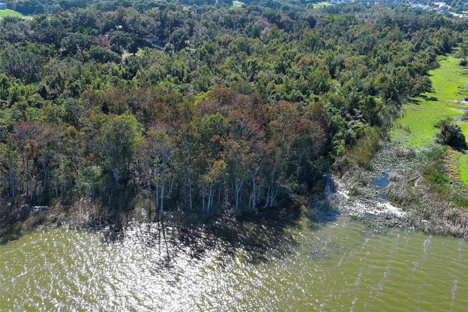 Lake Apopka Access Lake Apopka Access