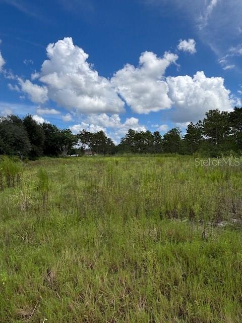 Mid View of Property