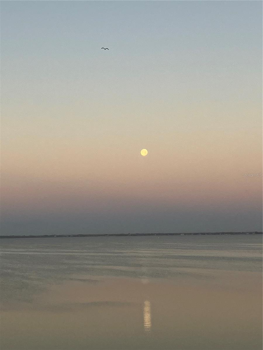201 INTERNATIONAL DRIVE, #642, Cape Canaveral, FL 32920