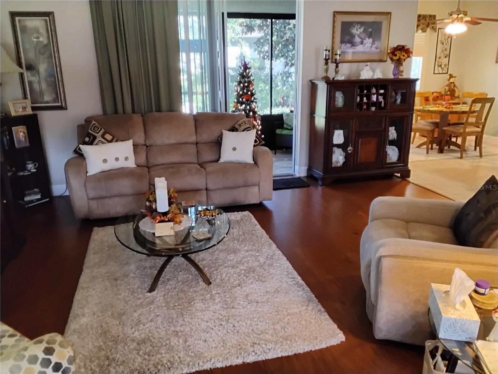 3317 SALOMAN, Clermont, FL 34711