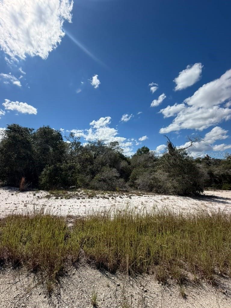 244 DARGEN DRIVE, Lake Placid, FL 33852 244 DARGEN DRIVE, Lake Placid, FL 33852