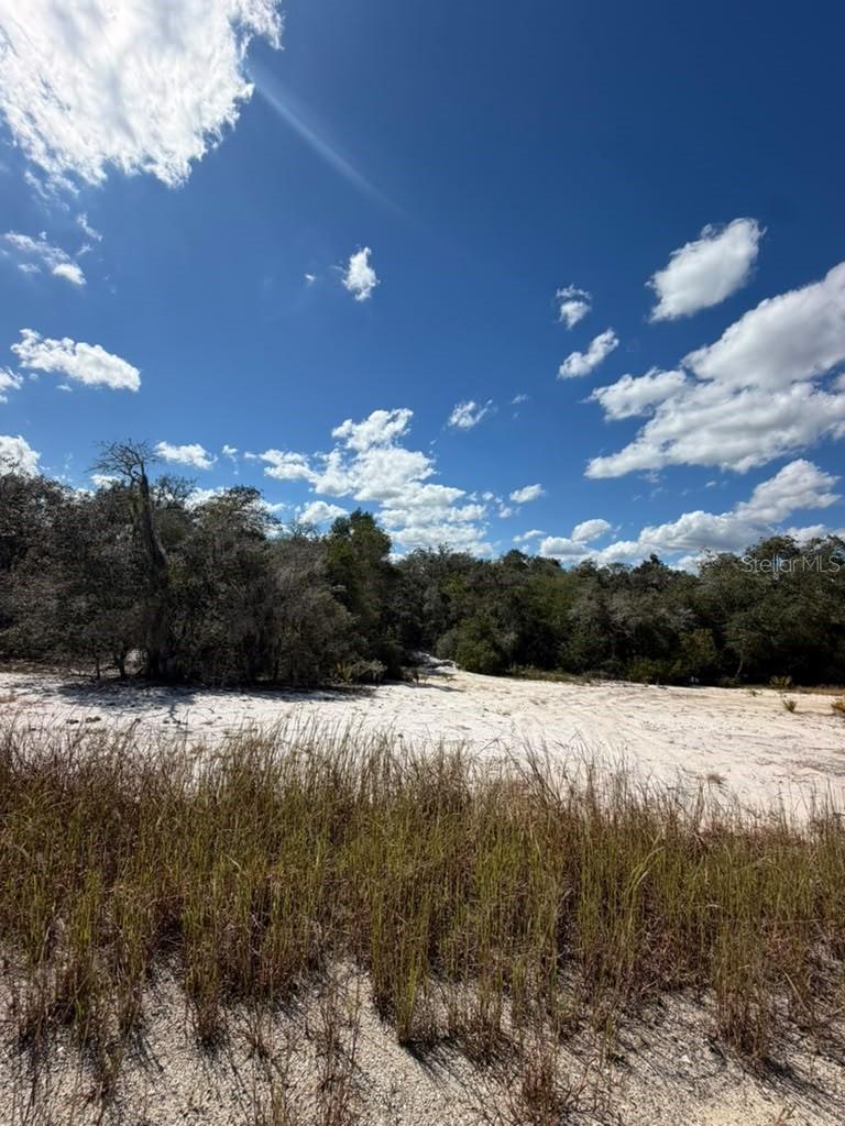 244 DARGEN DRIVE, Lake Placid, FL 33852