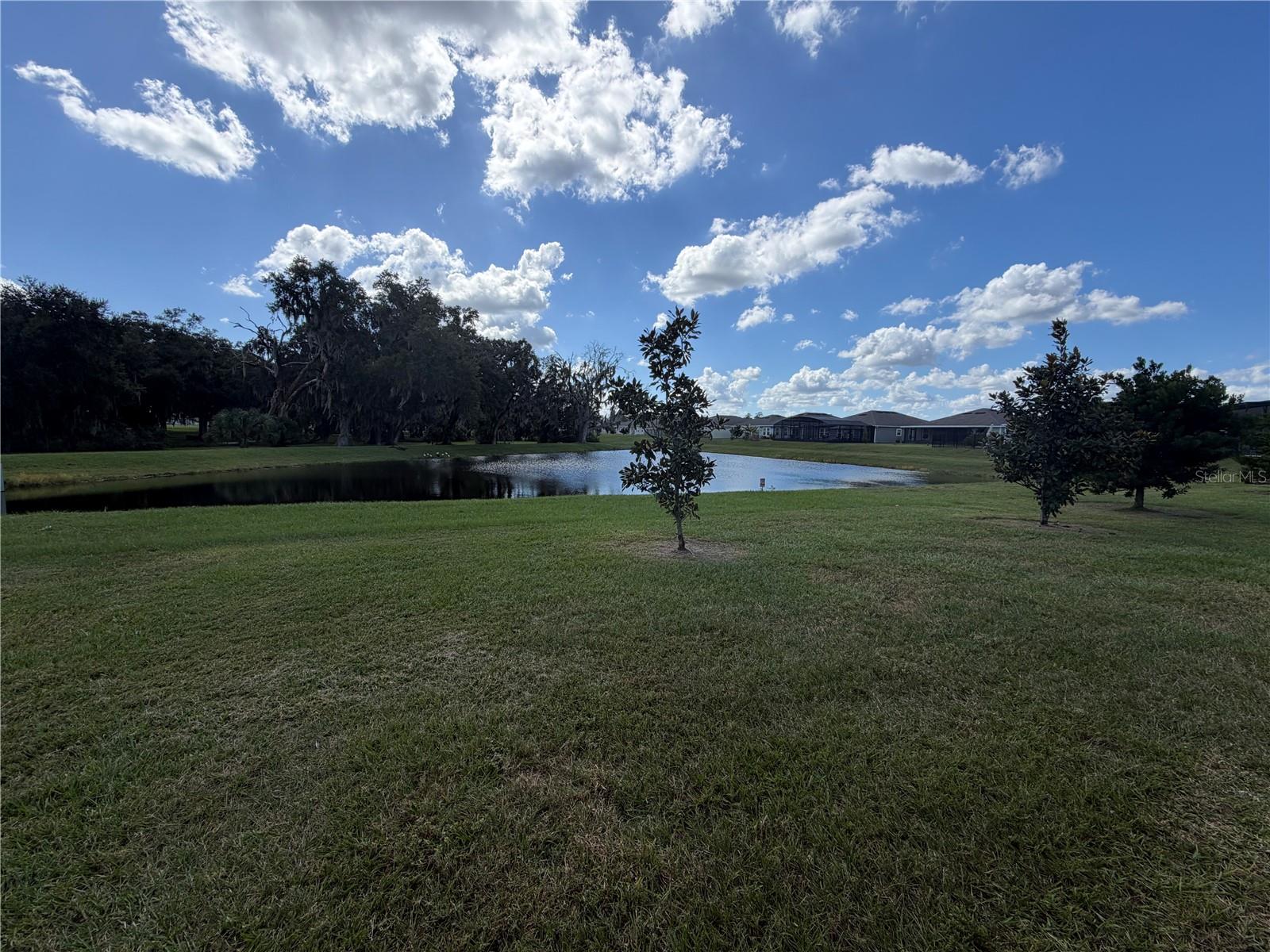 1913 CRICKET CRADLE DRIVE, Kissimmee, FL 34746