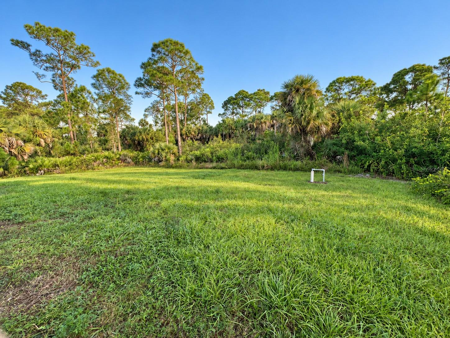 Backyard.