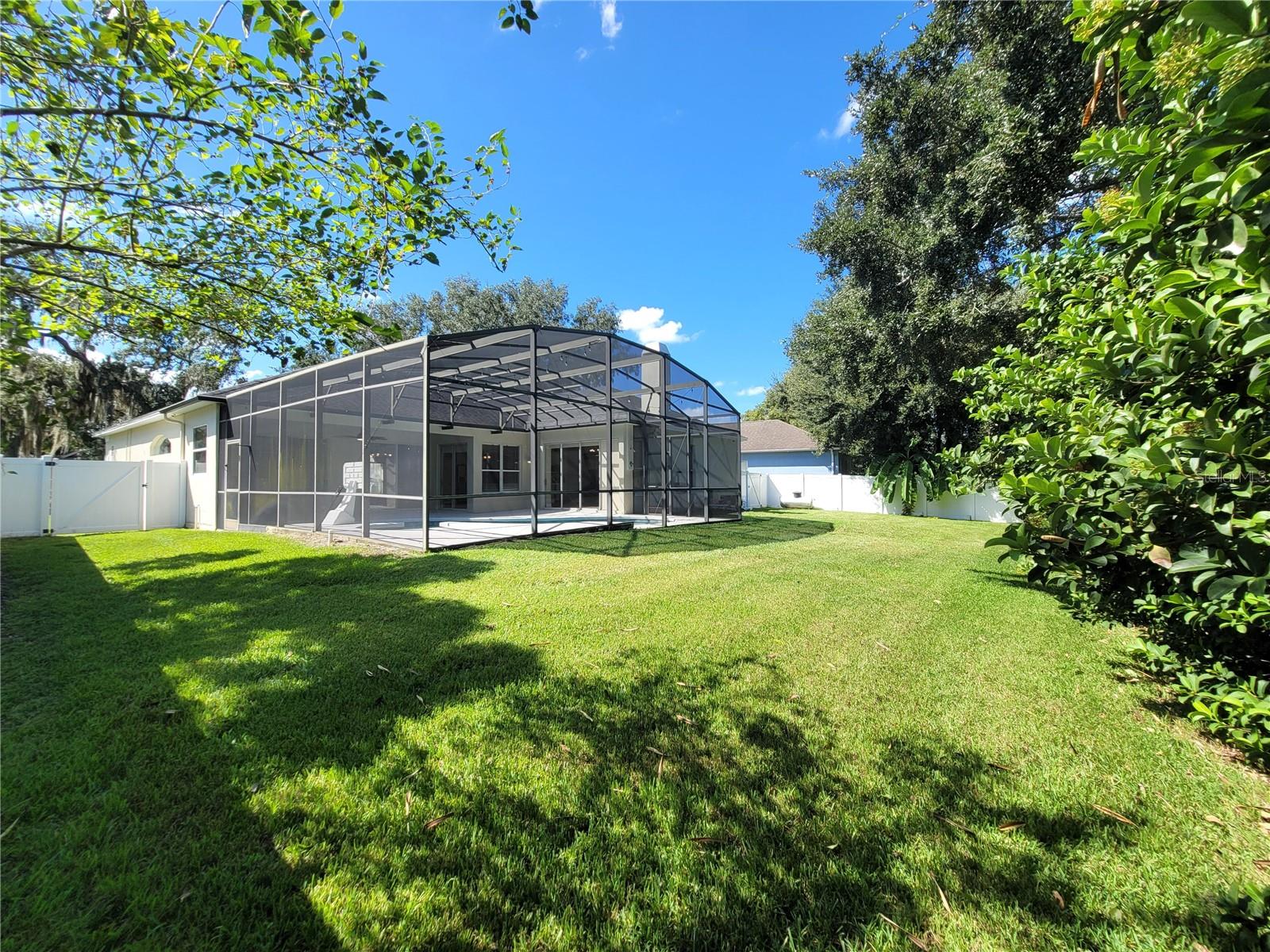 Backyard