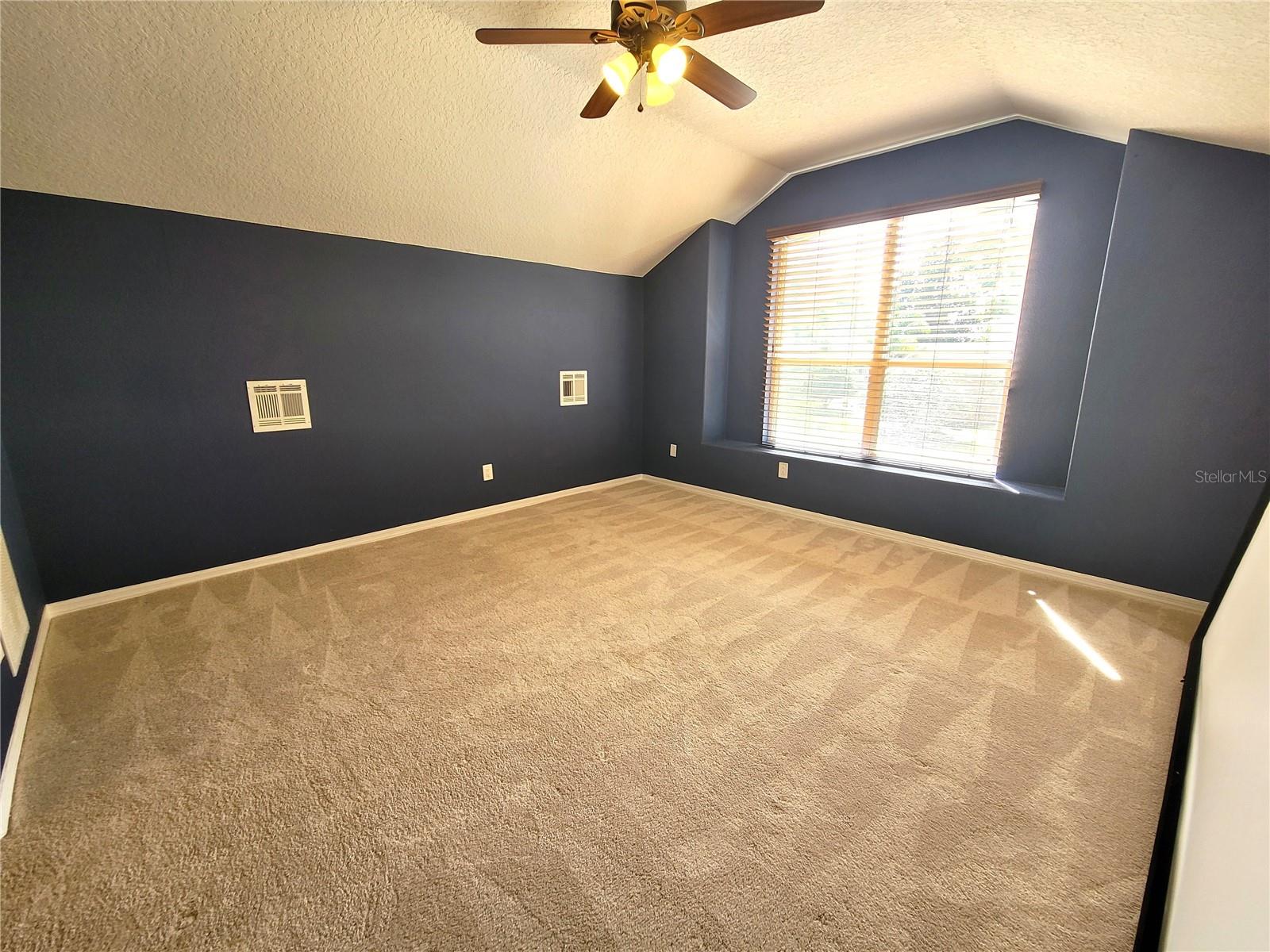 Bonus Room- 4th Bedroom