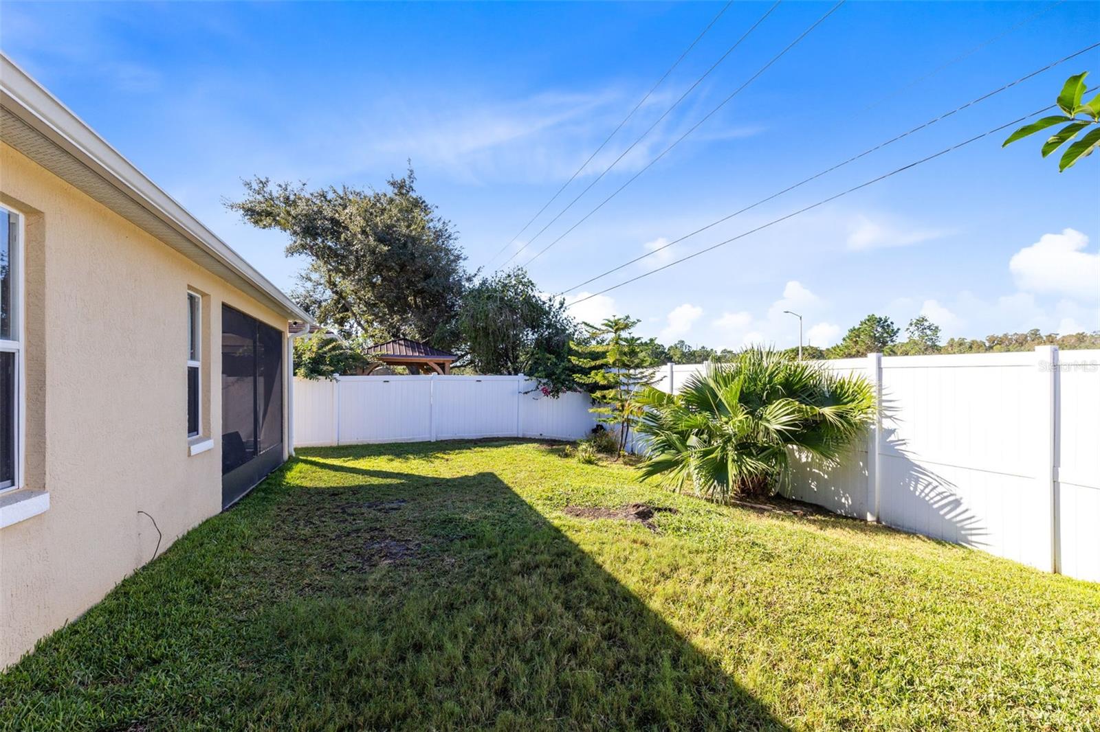 Spacious fenced backyard