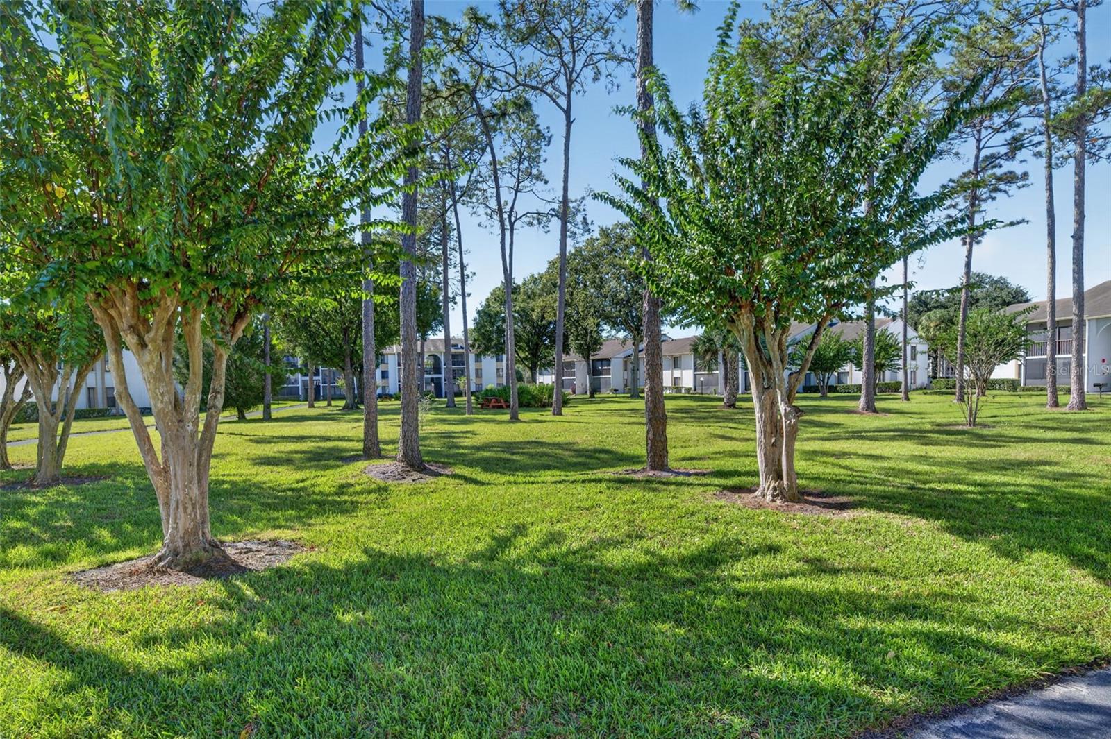 8217 SUN SPRING CIRCLE, #52, Orlando, FL 32825