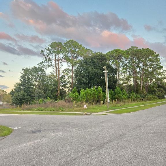 TBD S. ANDERSON ST, Bunnell, FL 32110