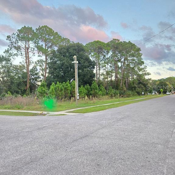 TBD S. ANDERSON ST, Bunnell, FL 32110