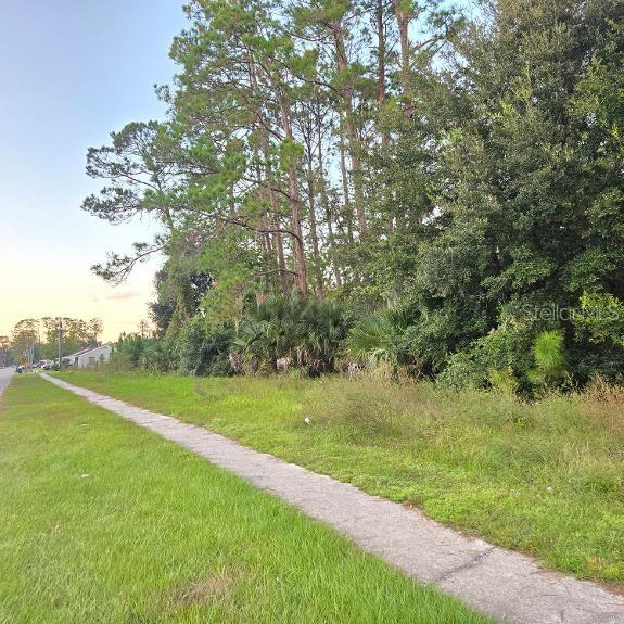 TBD S. ANDERSON ST, Bunnell, FL 32110