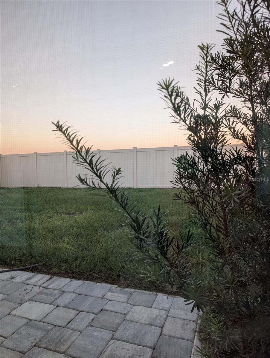 PATIO 1