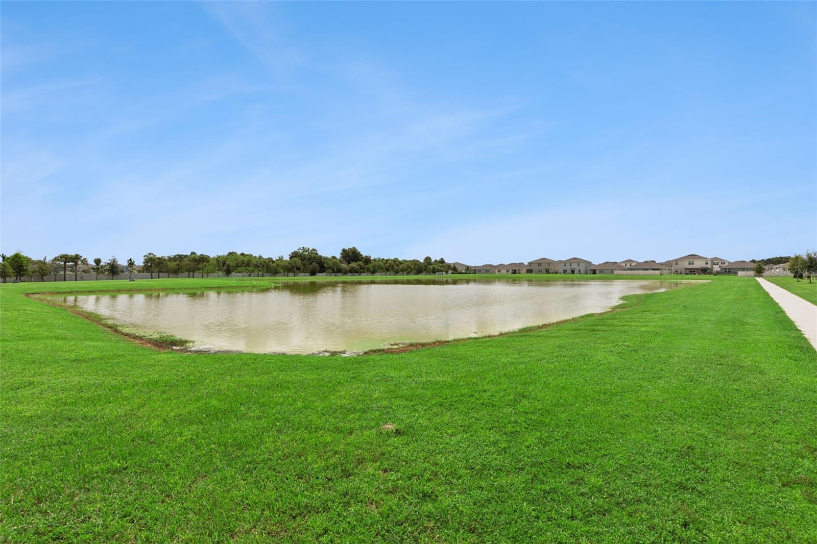 Community Pond/ Walking Trails