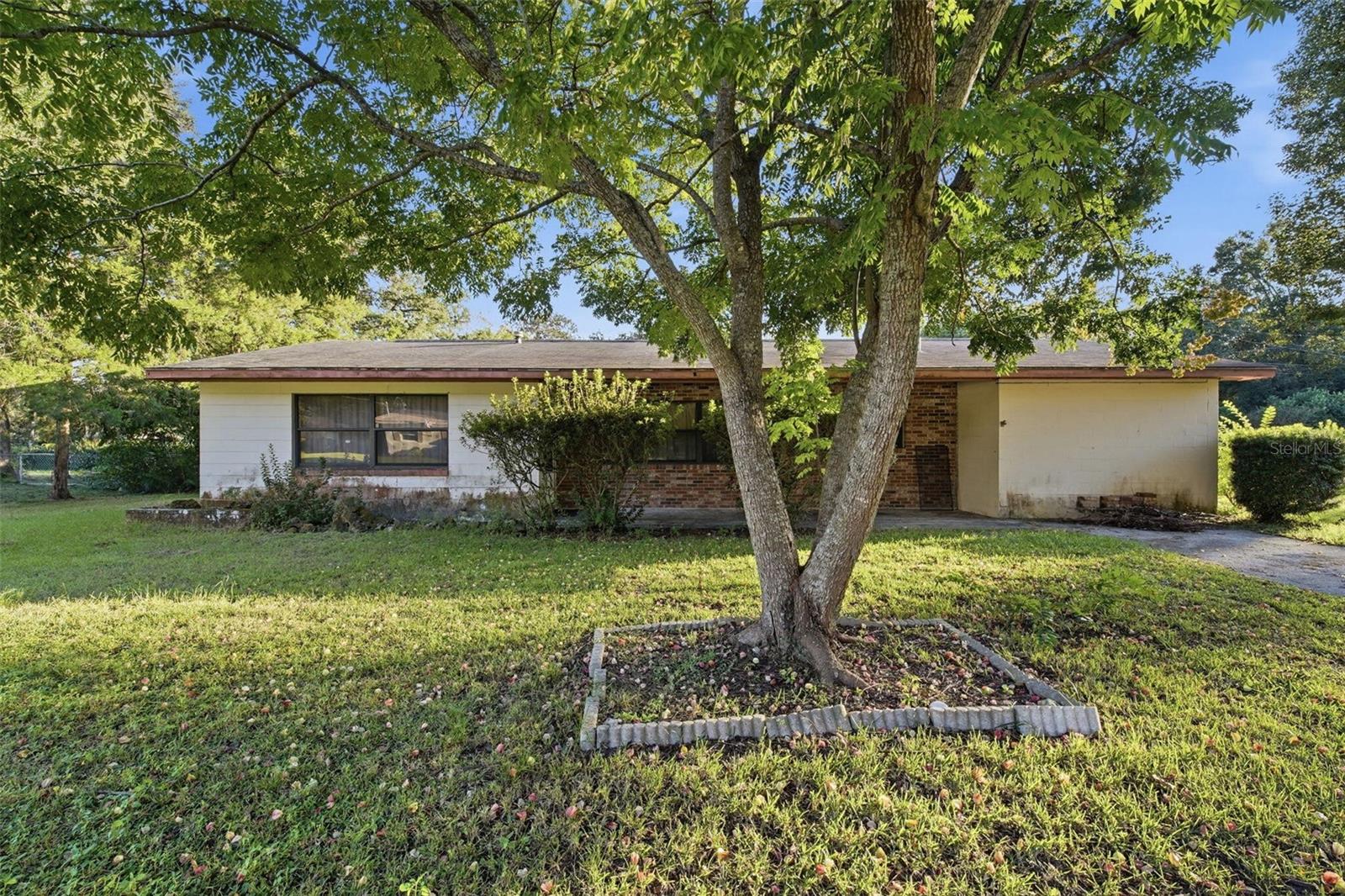 900 NE 45TH PLACE, Ocala, FL 34479
