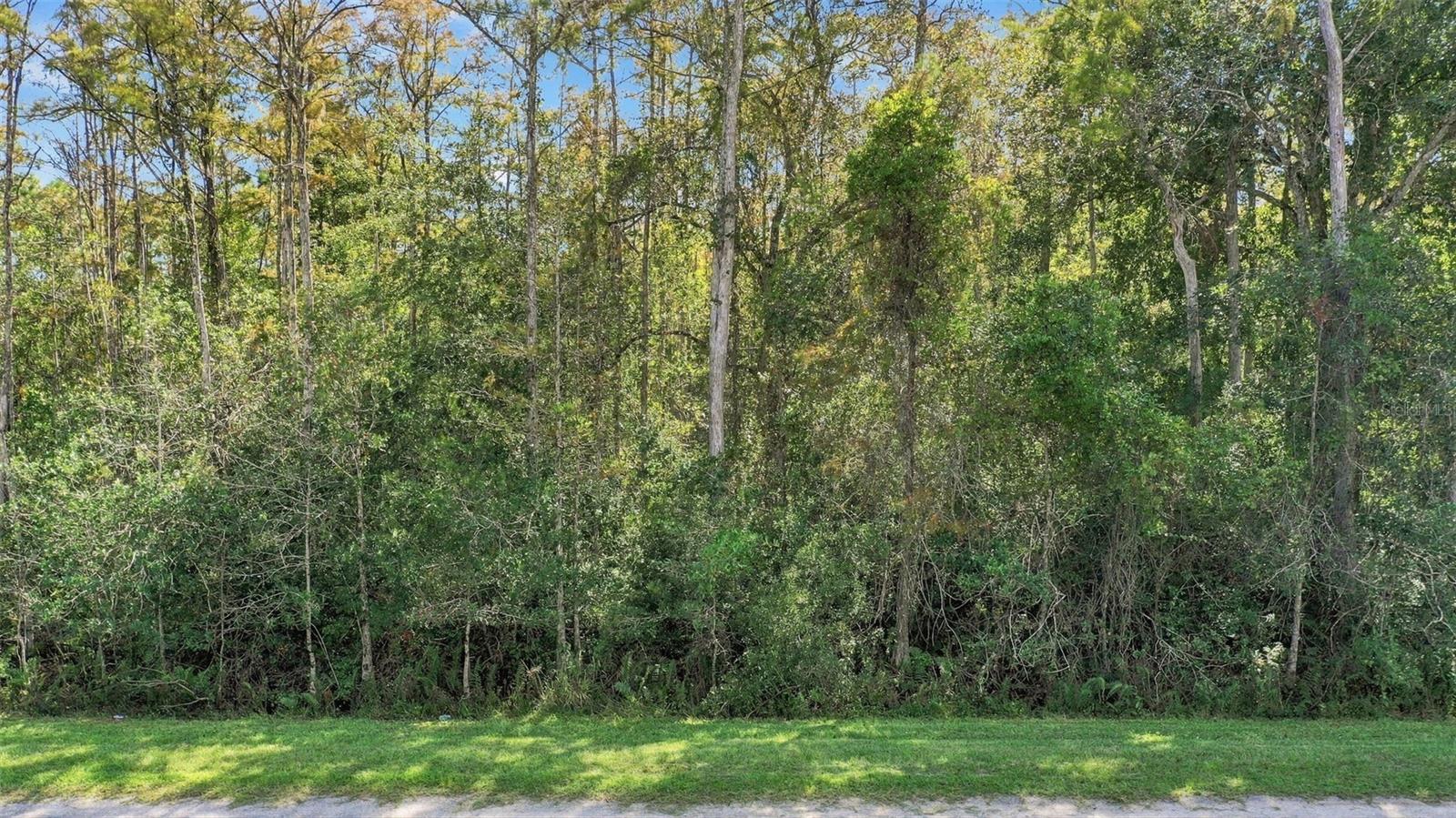 ROBERTSON STREET, Orlando, FL 32833