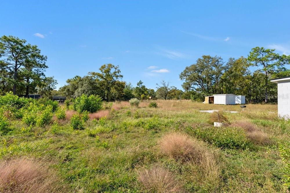 13386 TAYLOR STREET, Brooksville, FL 34613