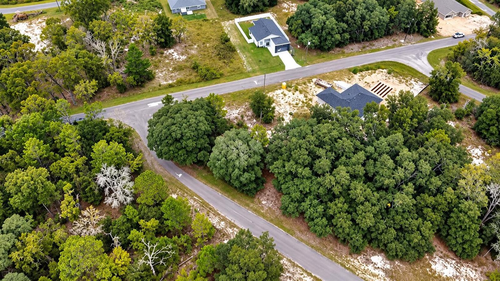 0 GUAVA LANE, Ocklawaha, FL 32179