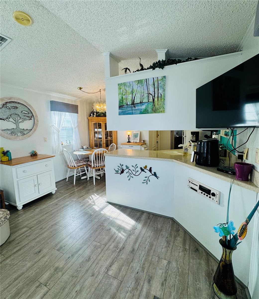 Living - Kitchen Area