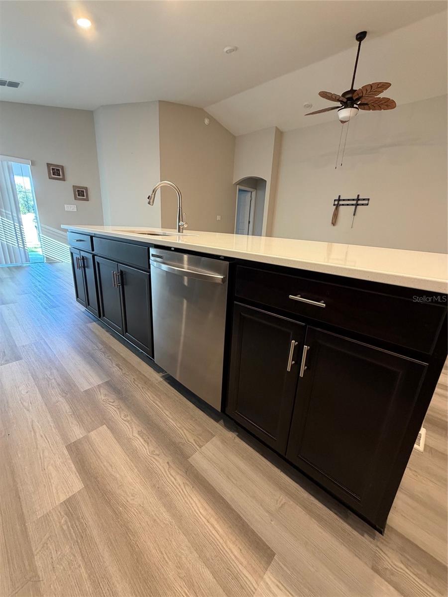 1017 MOUNTAIN FLOWER LANE, Davenport, FL 33837