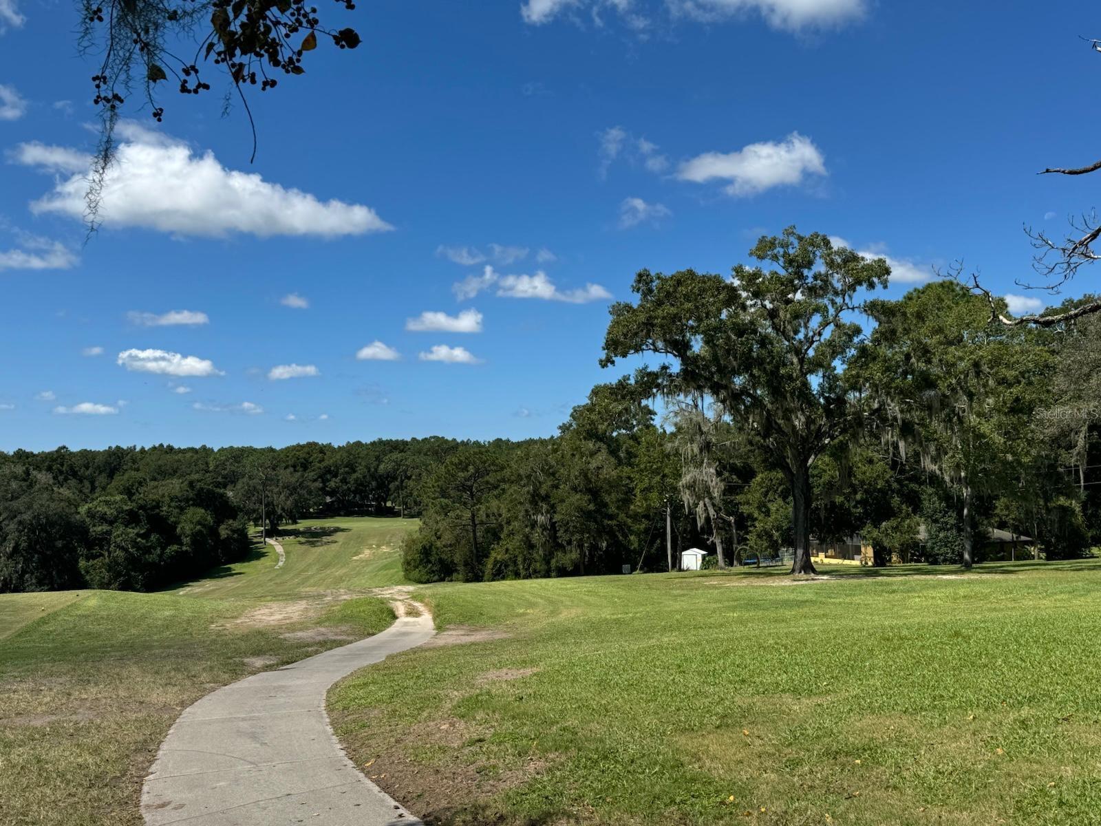 415 W HOMEWAY LOOP, Citrus Springs, FL 34434