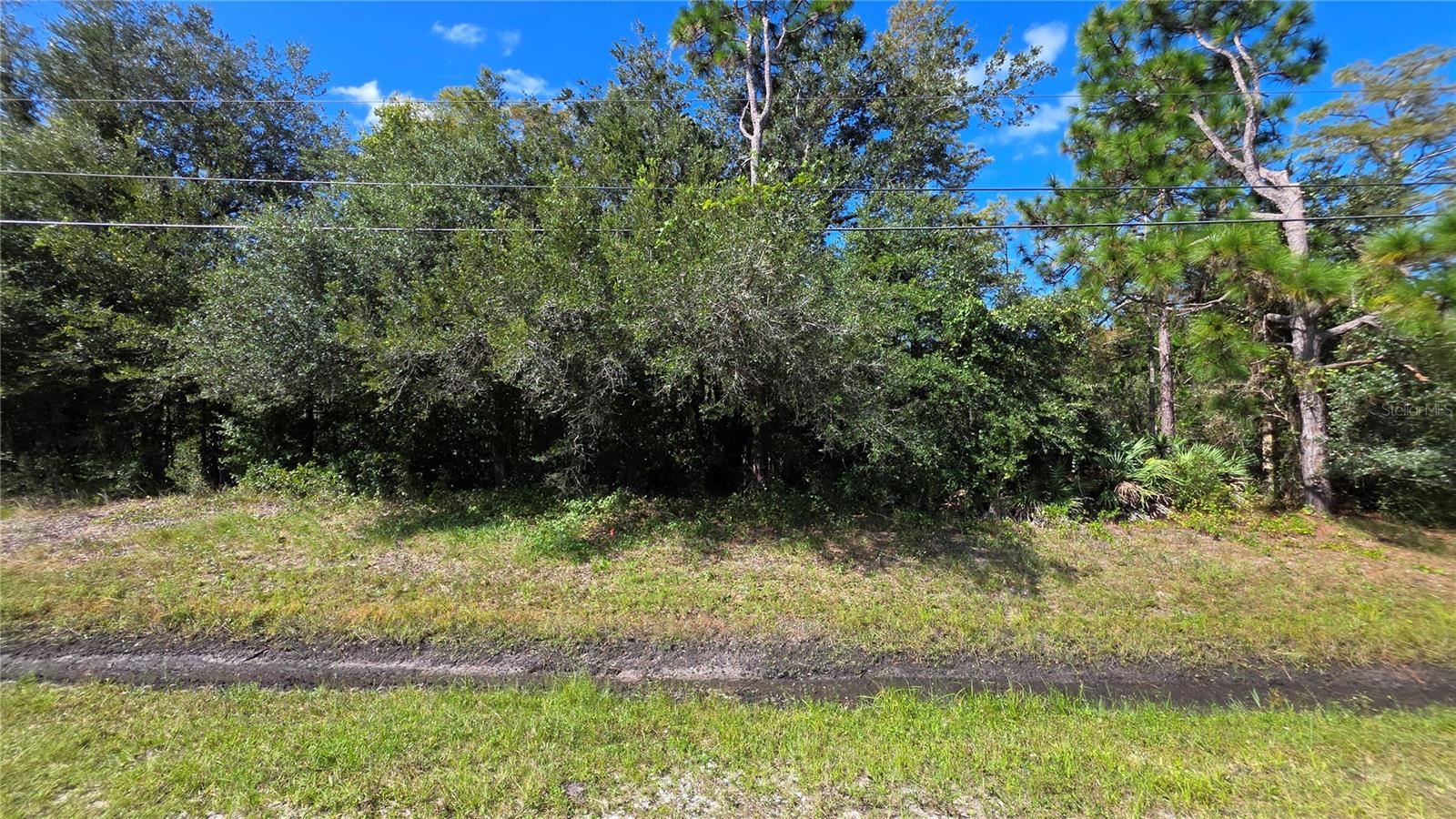 18873 NETHERLAND STREET, Orlando, FL 32833