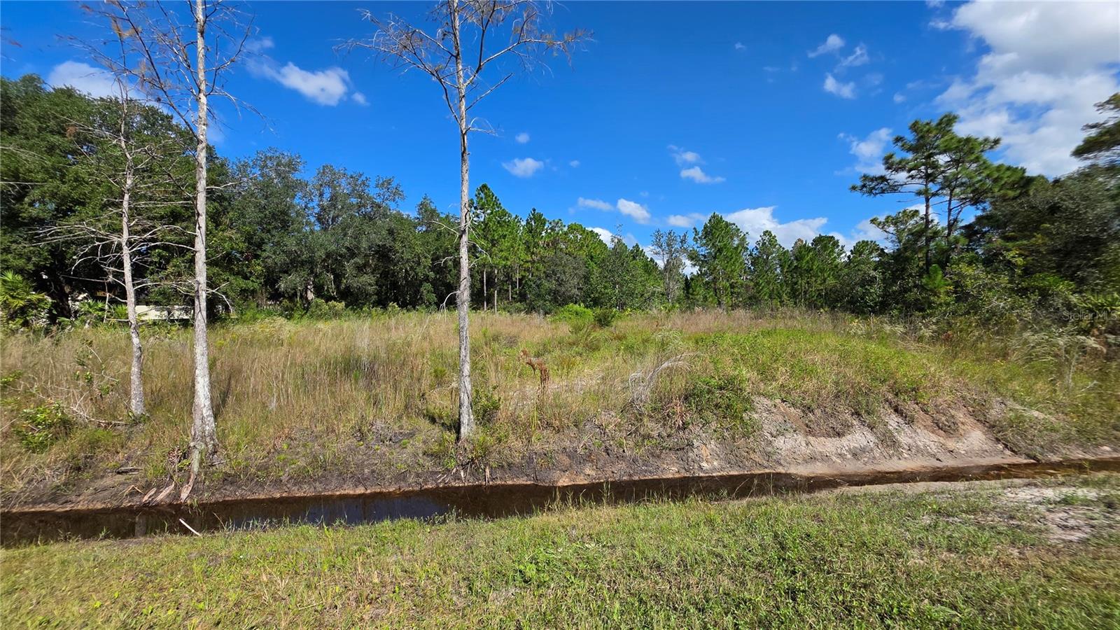 18873 NETHERLAND STREET, Orlando, FL 32833
