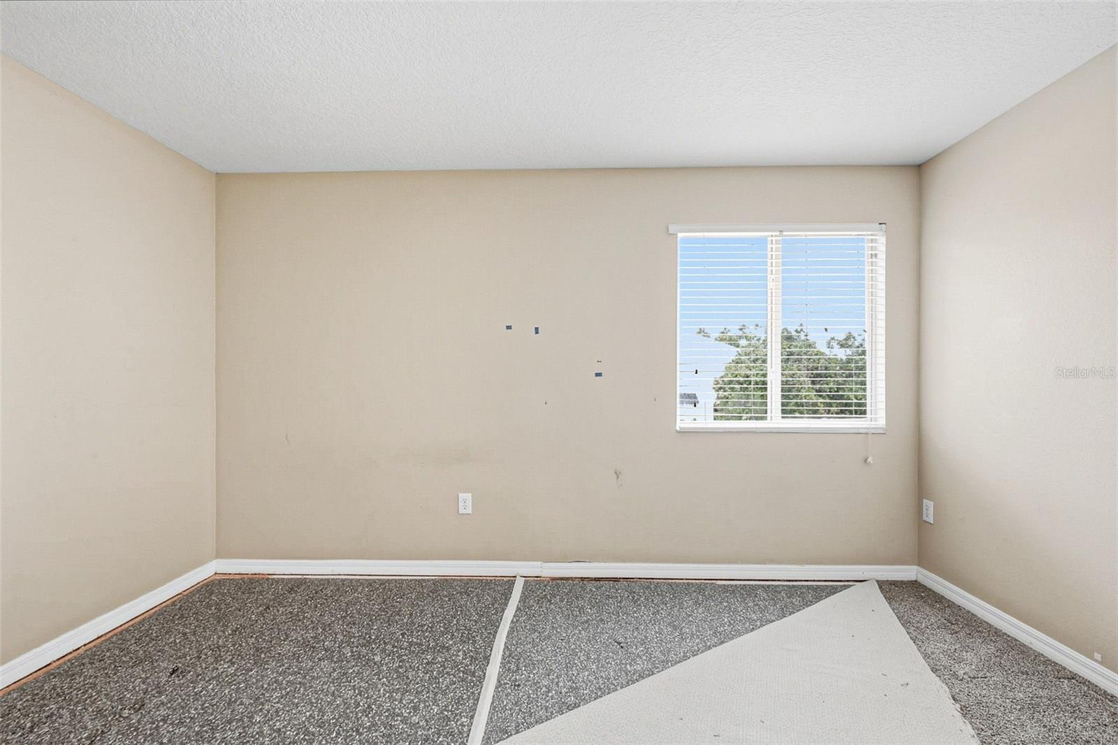 19264 FISHERMANS BEND DRIVE, Lutz, FL 33558
