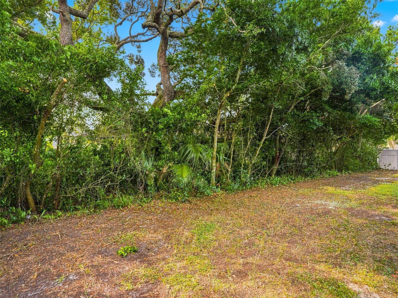 7956 RHANBUOY ROAD, Spring Hill, FL 34606