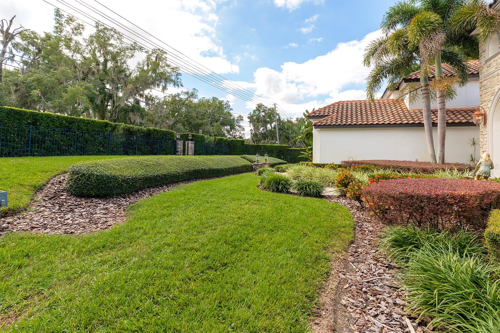 Front Yard