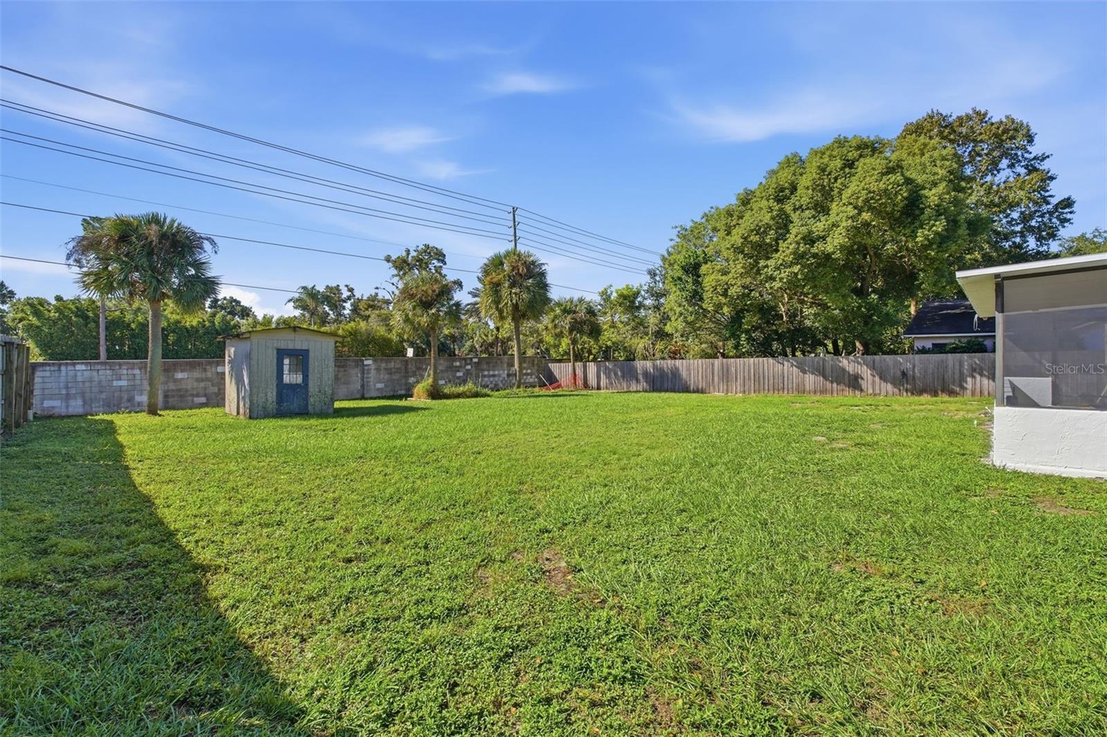 Backyard