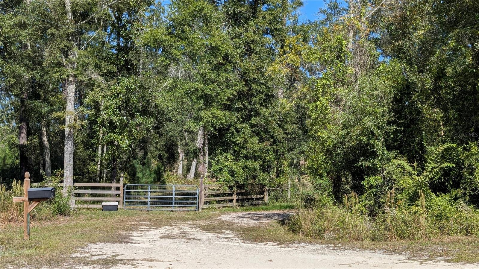 10591 160TH STREET, Mc Alpin, FL 32062