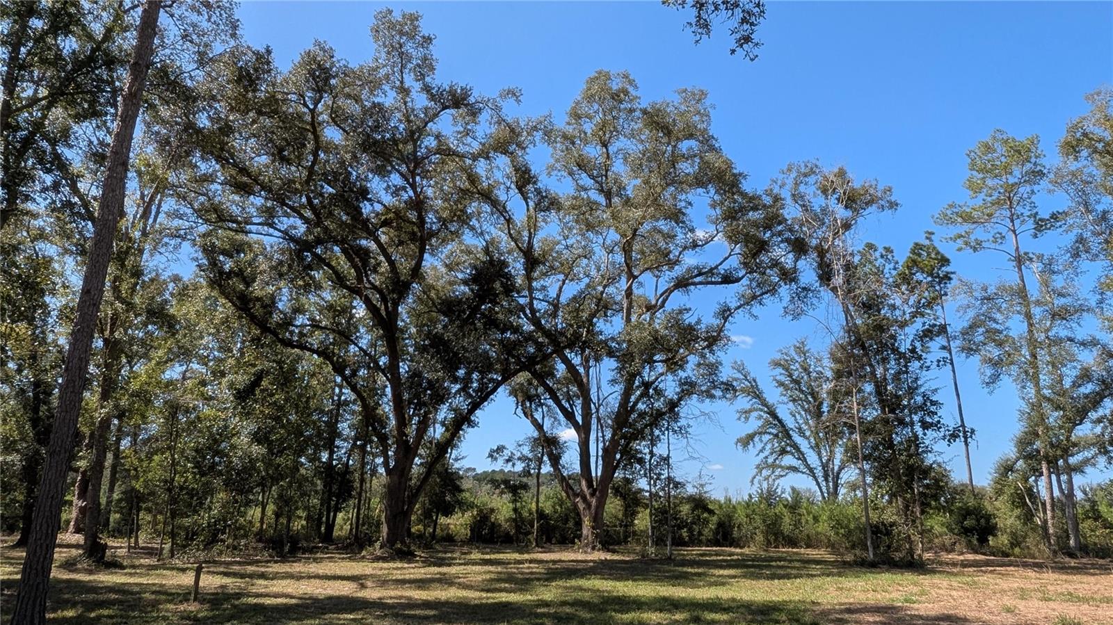 10591 160TH STREET, Mc Alpin, FL 32062