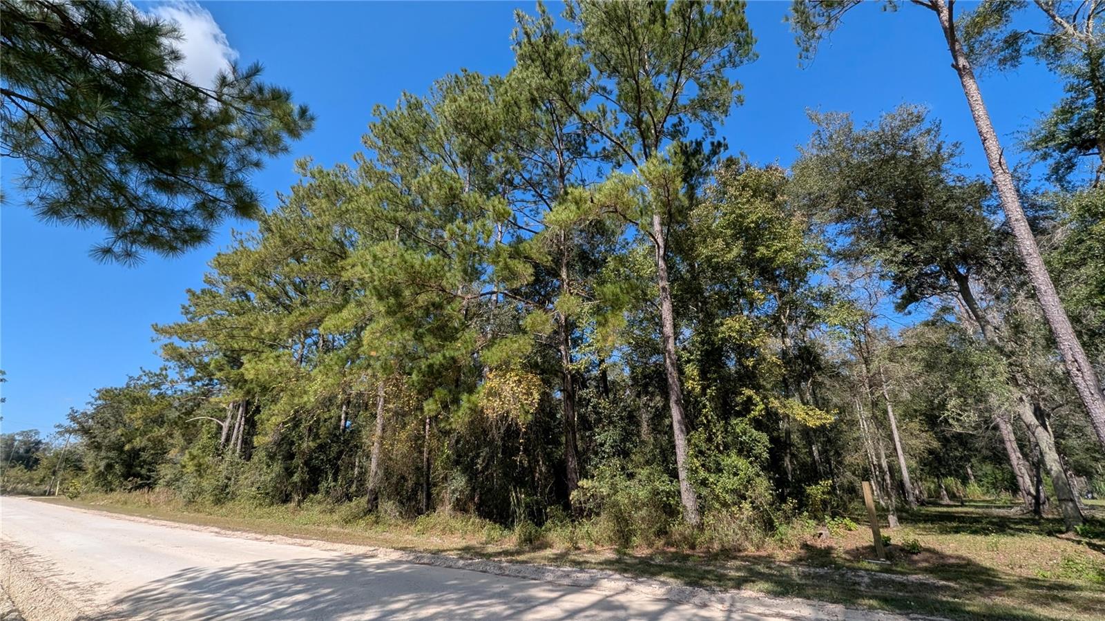 10591 160TH STREET, Mc Alpin, FL 32062