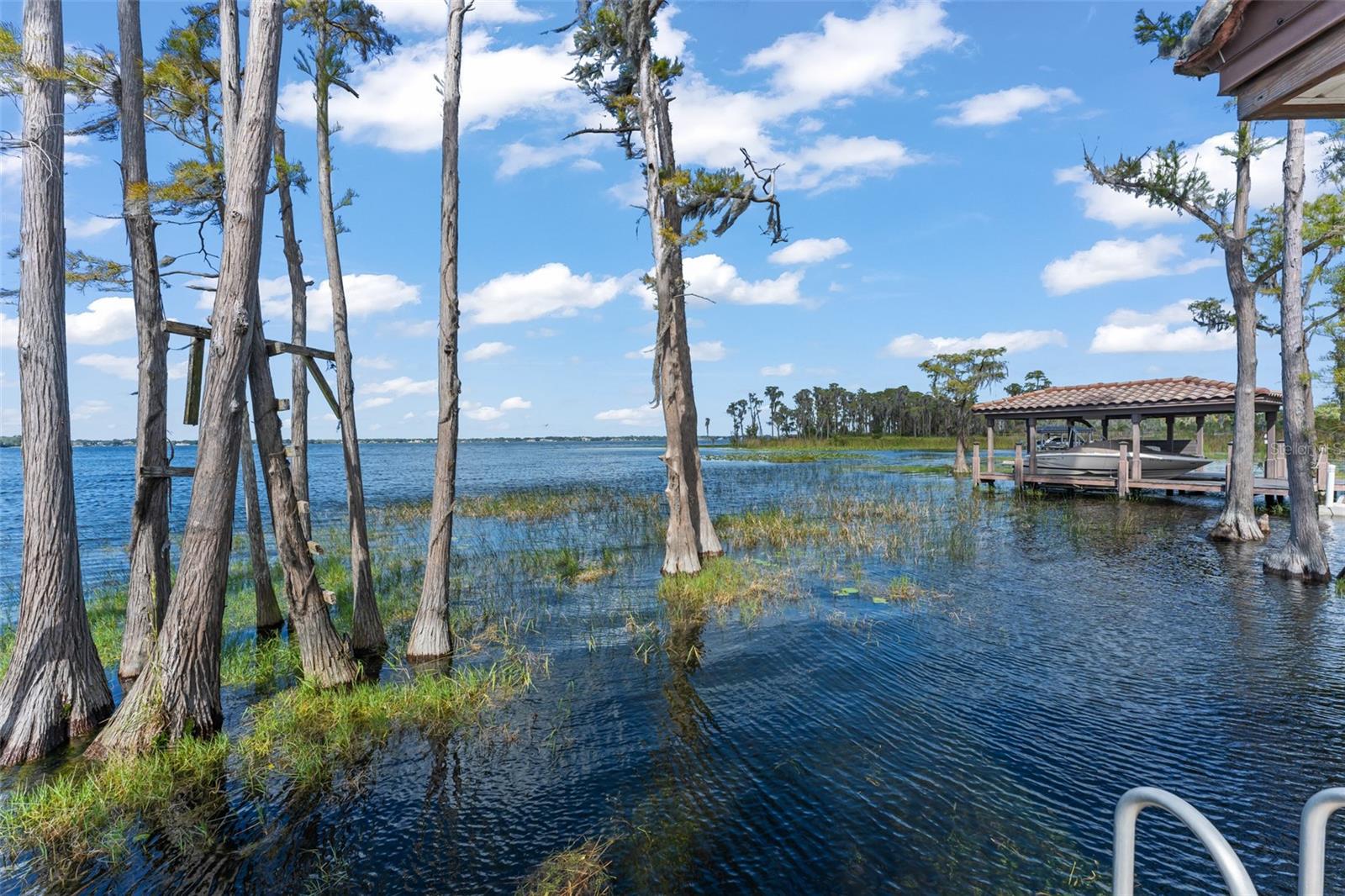 11103 BRIDGE HOUSE ROAD, Windermere, FL 34786