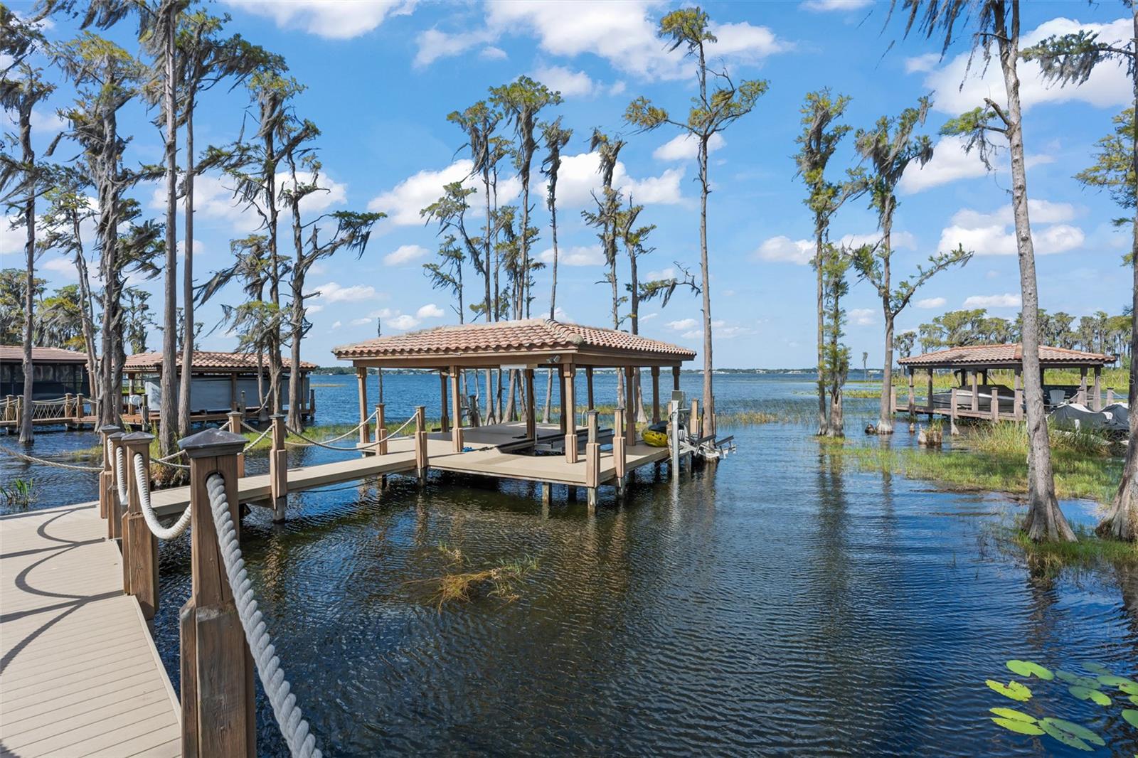 11103 BRIDGE HOUSE ROAD, Windermere, FL 34786