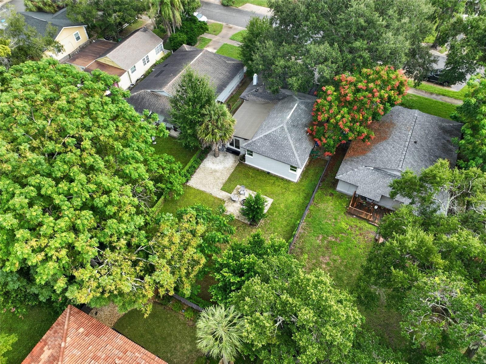 Drone View