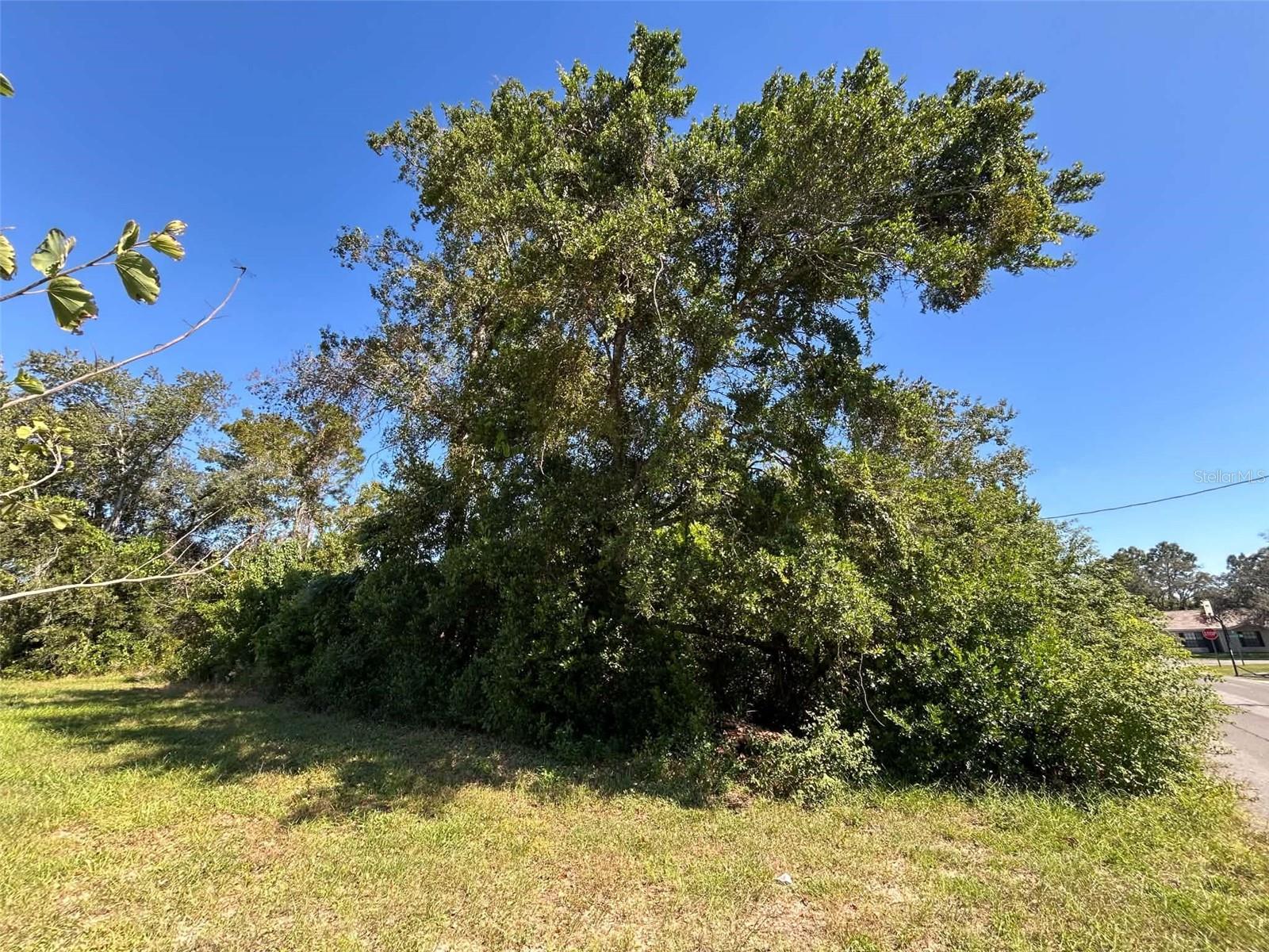 12299 RONALD STREET, Spring Hill, FL 34609