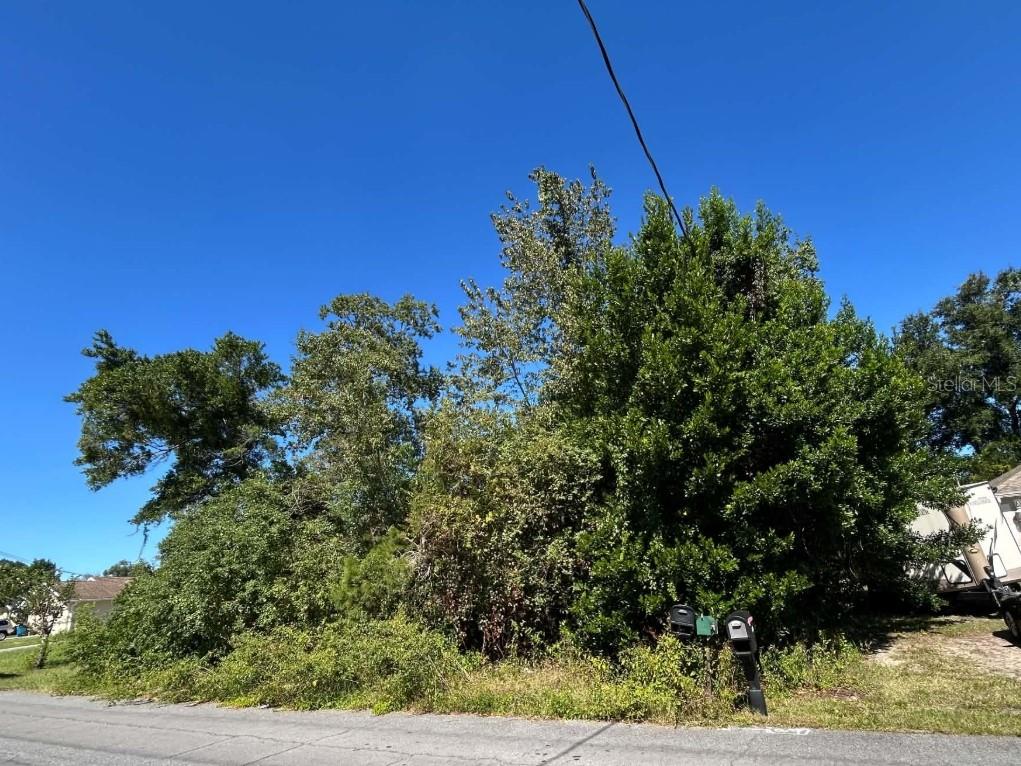 12299 RONALD STREET, Spring Hill, FL 34609