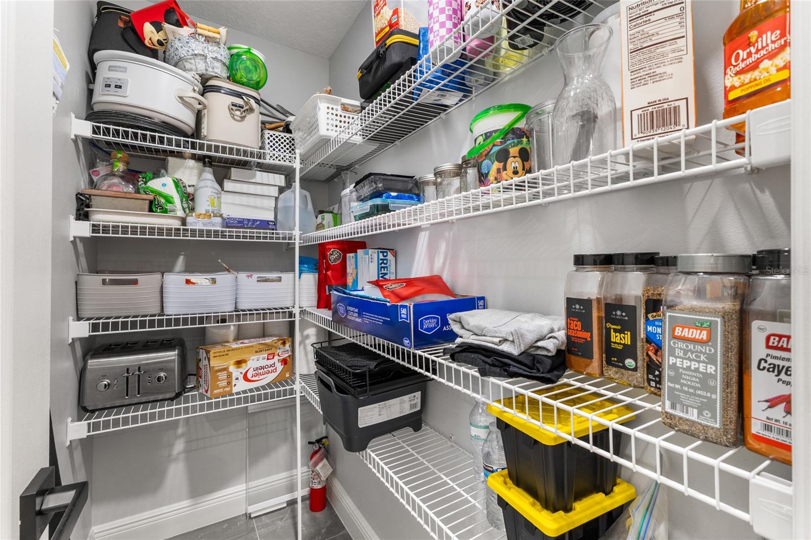 987 PRINCETON DRIVE, Clermont, FL 34711