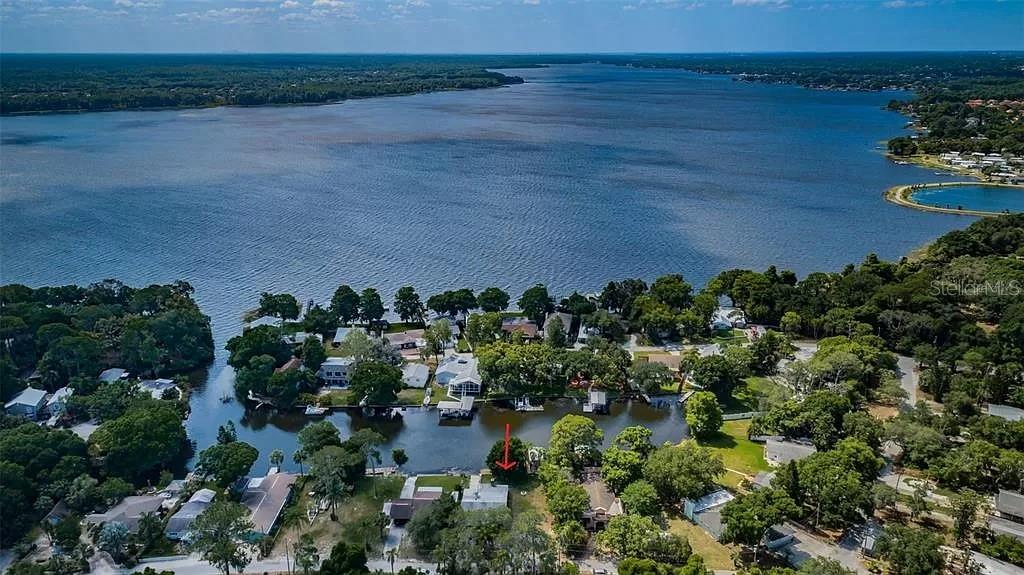 Aerial of neighborhood & Lake Tarpon Aerial of neighborhood & Lake Tarpon