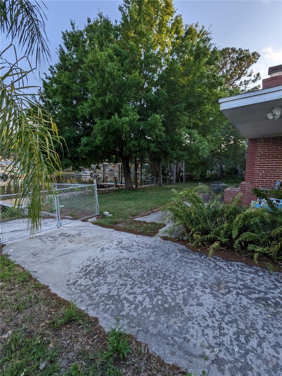 Back yard