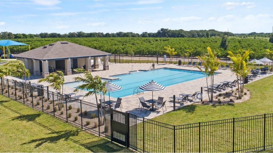 Amenities - Pool