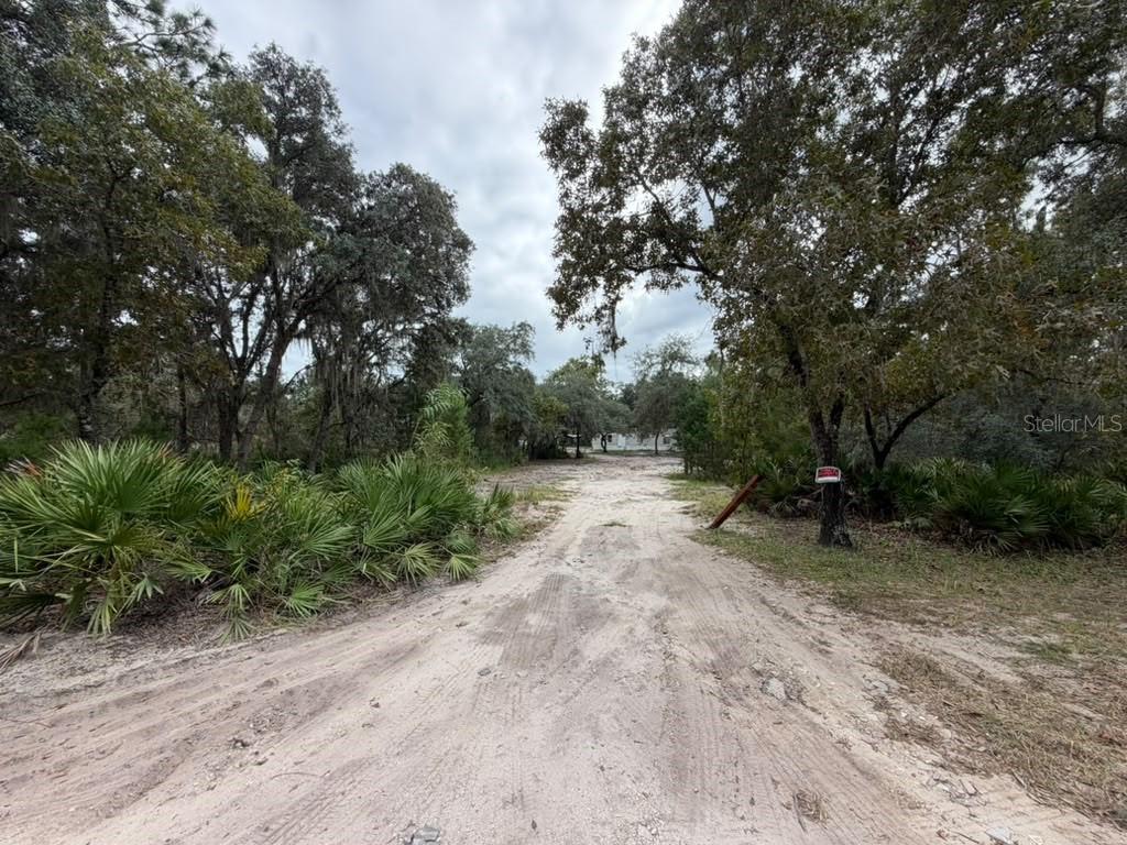 8801 DEER RUN DRIVE, Lake Wales, FL 33898 8801 DEER RUN DRIVE, Lake Wales, FL 33898