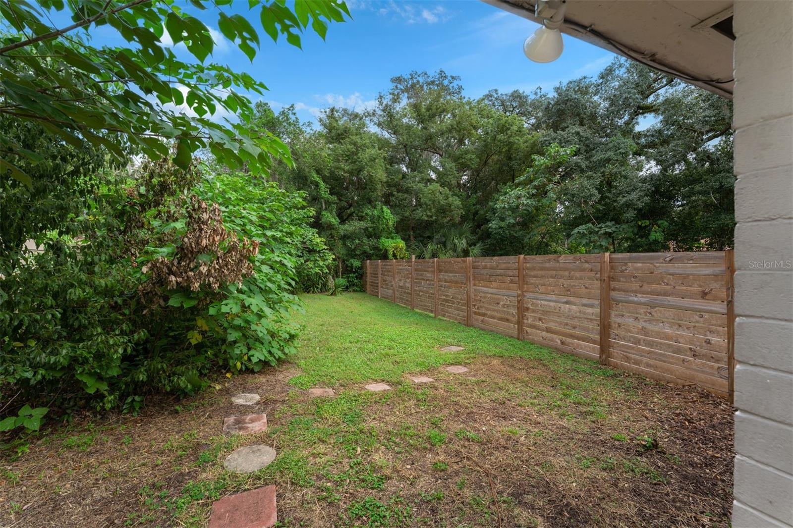 Fenced backyard