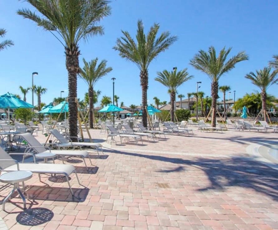 Enjoy the Oasis Club's Resort-Style Pools and Tropical Waterpark Setting