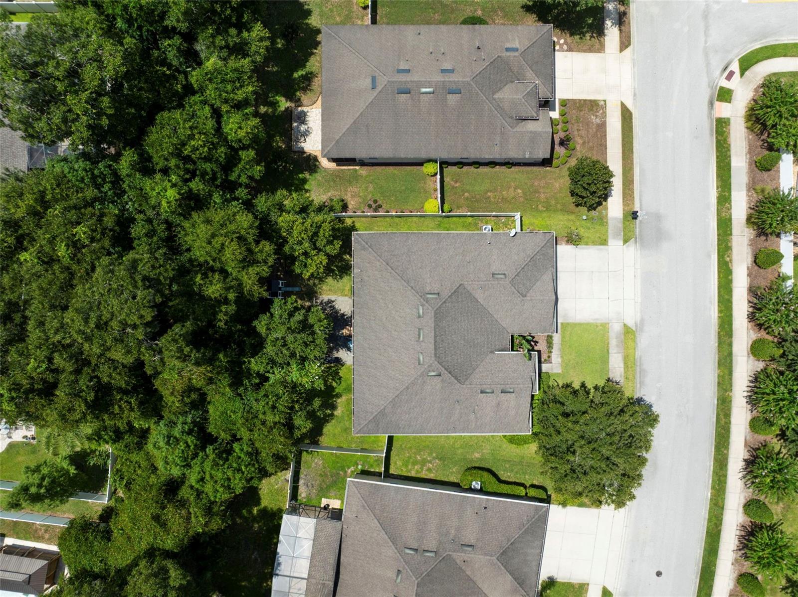 HOA buffer delivers a wooded view. HOA buffer delivers a wooded view.