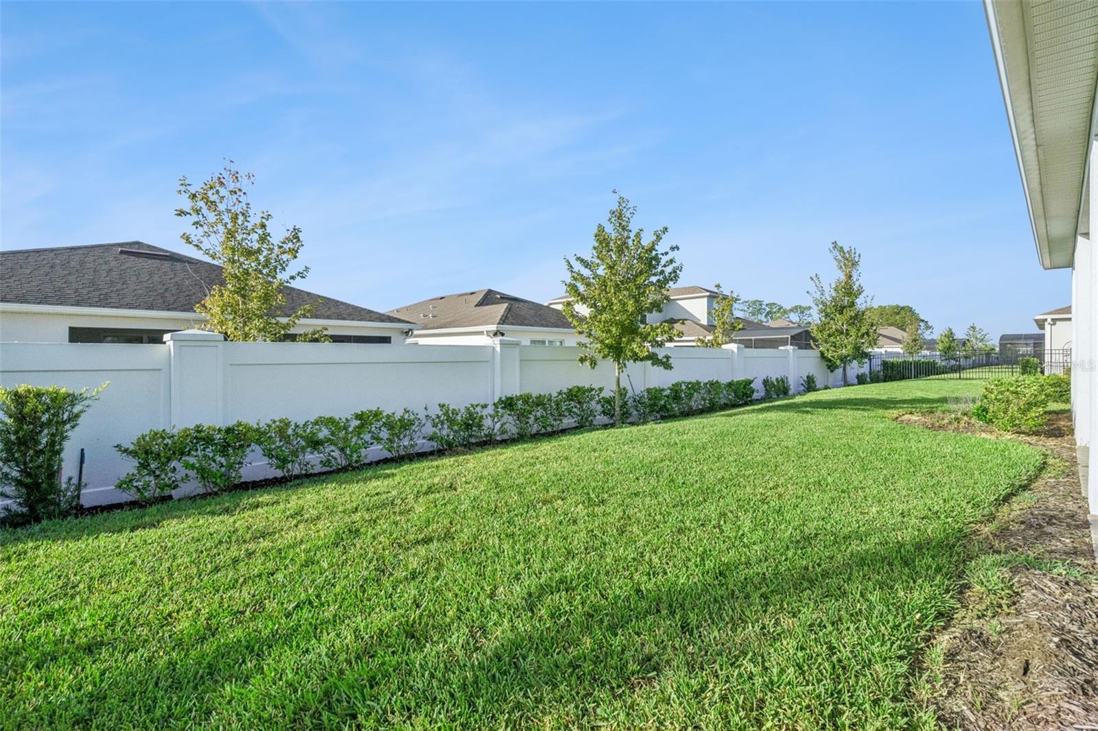 Generous Back-Yard