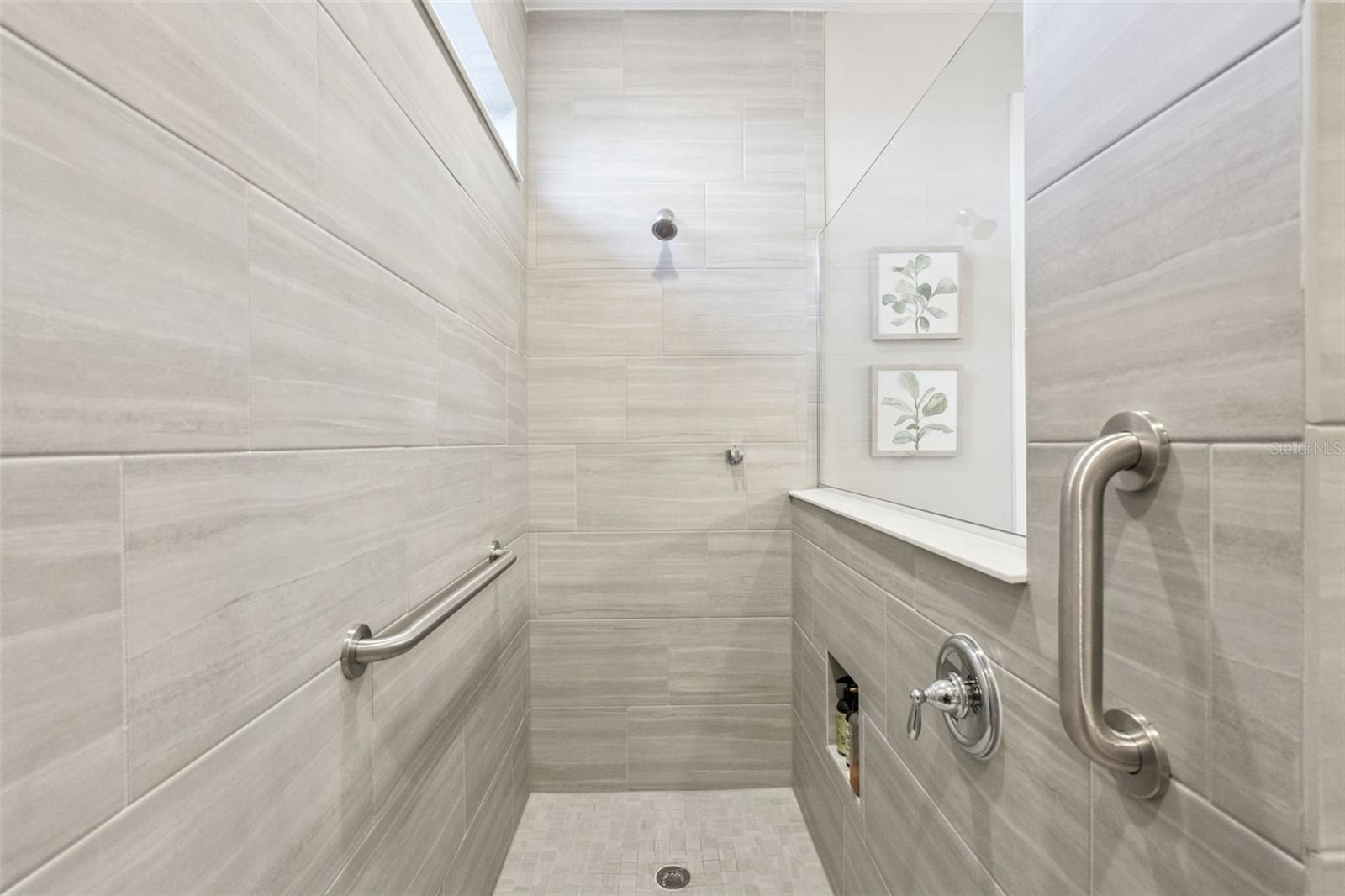 Primary Shower