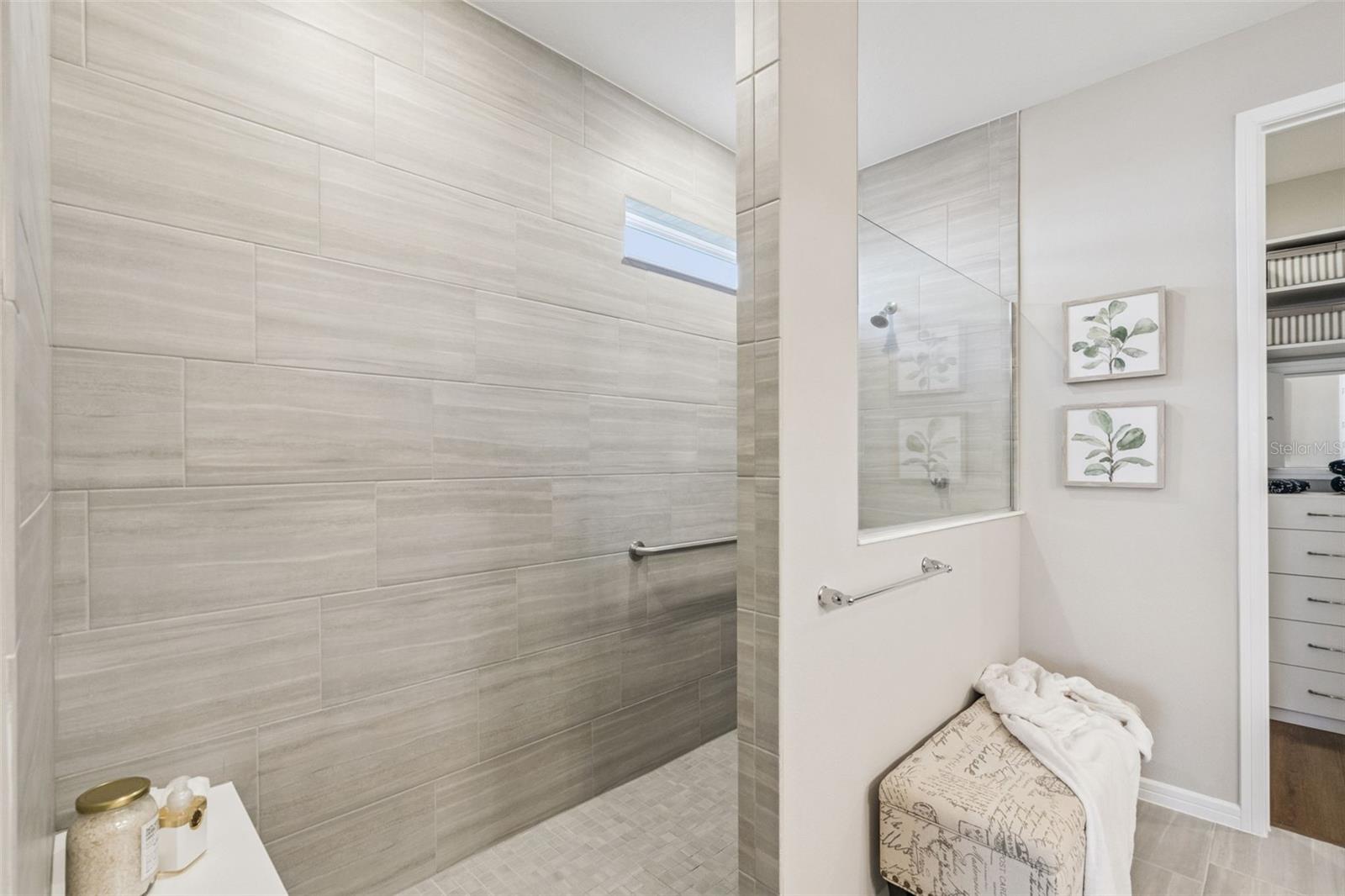Primary Shower